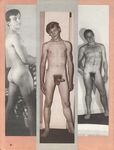 269 SELECT STUDS1.1  Gays Photos