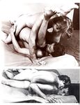 ALL THE WAY  Gays Photos