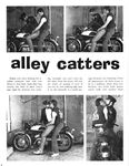 ALLEY CATTERS 5  Gays Photos