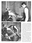 ALLEY CATTERS 5  Gays Photos