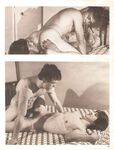 276 STAR STUDS  Gays Photos