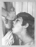276 STAR STUDS  Gays Photos