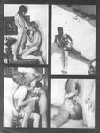 276 STAR STUDS  Gays Photos