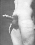 276 STAR STUDS  Gays Photos