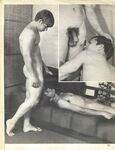 276 STAR STUDS  Gays Photos