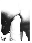 ANAL MASTURBATION Collection 1 1985  Gays Photos