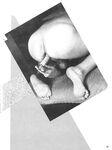 ANAL MASTURBATION Collection 1 1985  Gays Photos