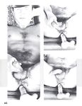 ANAL MASTURBATION Vol 2 Nr 3 1984  Gays Photos