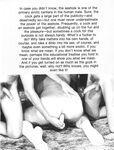 ANAL MASTURBATION Vol 2 Nr 4 1985  Gays Photos
