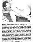 ANAL MASTURBATION Vol 3 Nr 2 1985  Gays Photos