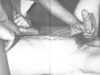 293 STAR STUDS1.2  Gays Photos