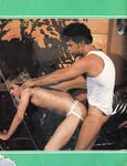 ANIMAL ACTION  Gays Photos