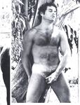 ARENA 1 1978  Gays Photos