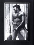 ARENA 1 1978  Gays Photos
