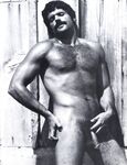 ARENA 1 1978  Gays Photos