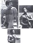 ARENA 1 1978  Gays Photos