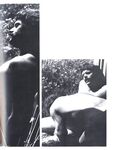 ARENA 1 1978  Gays Photos
