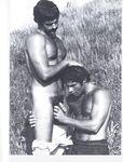 ARENA 1 1978  Gays Photos