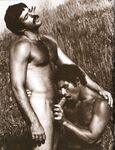 ARENA 1 1978  Gays Photos