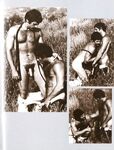 ARENA 1 1978  Gays Photos