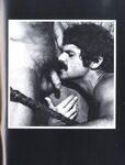 ARENA 1 1978  Gays Photos
