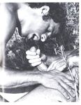 ARENA 1 1978  Gays Photos