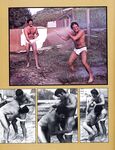 ARENA 1 1978  Gays Photos
