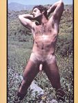 ARENA 1 1978  Gays Photos