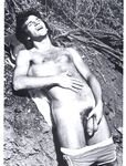 ARENA 2 1978  Gays Photos