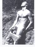 ARENA 2 1978  Gays Photos