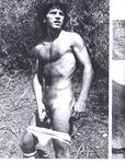ARENA 2 1978  Gays Photos