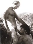 ARENA 2 1978  Gays Photos