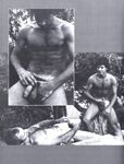 ARENA 2 1978  Gays Photos