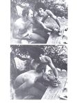 ARENA 2 1978  Gays Photos