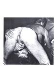 ARENA 2 1978  Gays Photos