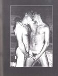 ARENA 2 1978  Gays Photos