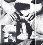 ARENA 3 1979  Gays Photos