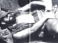 ARENA 3 1979  Gays Photos
