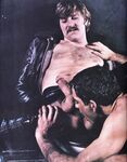 ARENA 4 1979  Gays Photos