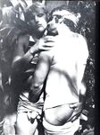 ARENA COLLECTION  Gays Photos