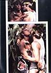 ARENA COLLECTION  Gays Photos