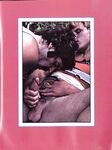 ARENA COLLECTION  Gays Photos