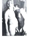 ARENA COLLECTION  Gays Photos