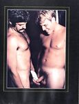 ARENA COLLECTION  Gays Photos