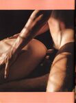 ASS MASTERS Nr 2  Gays Photos