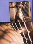 ASS MASTERS Nr 2  Gays Photos