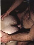 ASS MASTERS  Gays Photos