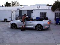 2020-07-08 Car Cruising - Masqulin - Facial