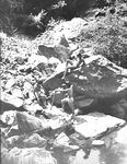 3 ON THE ROCKS  Gays Photos
