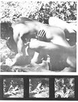 3 ON THE ROCKS  Gays Photos